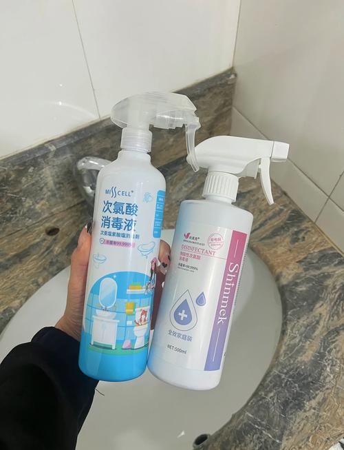 怎么给租房的马桶消毒