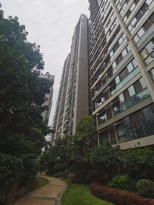 琴台大道楼盘
