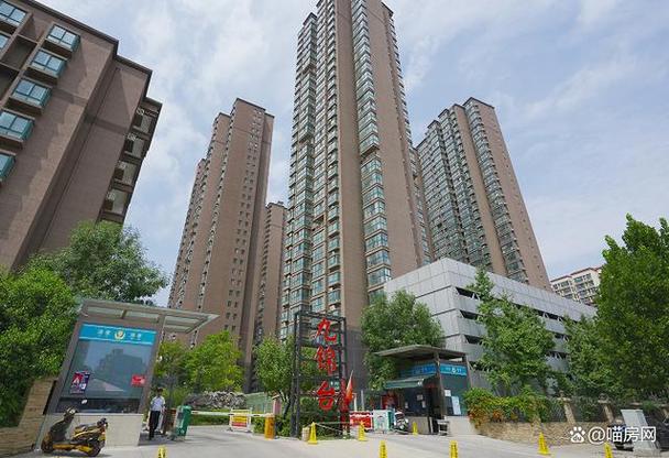 金水区楼盘