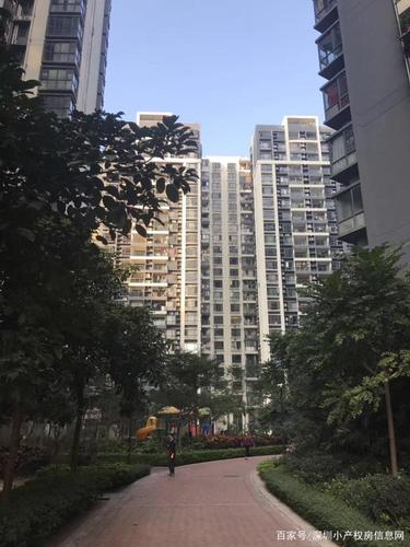 深圳龙军花园敢买吗