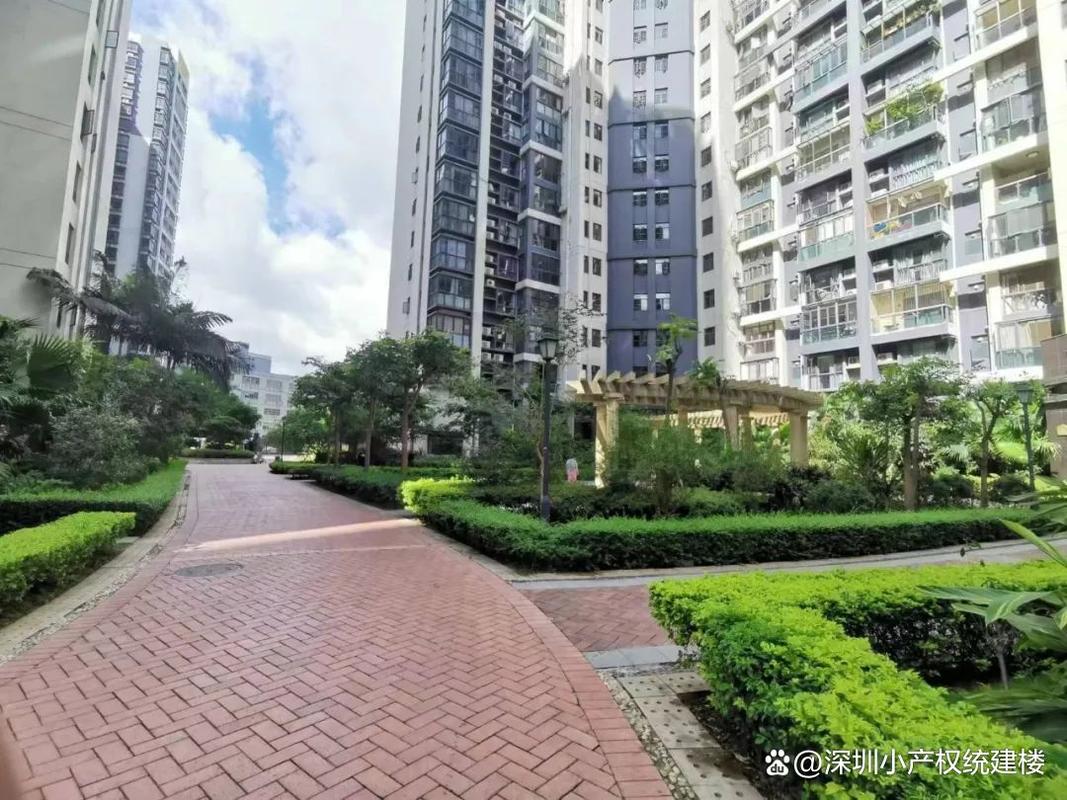 深圳龙军花园敢买吗