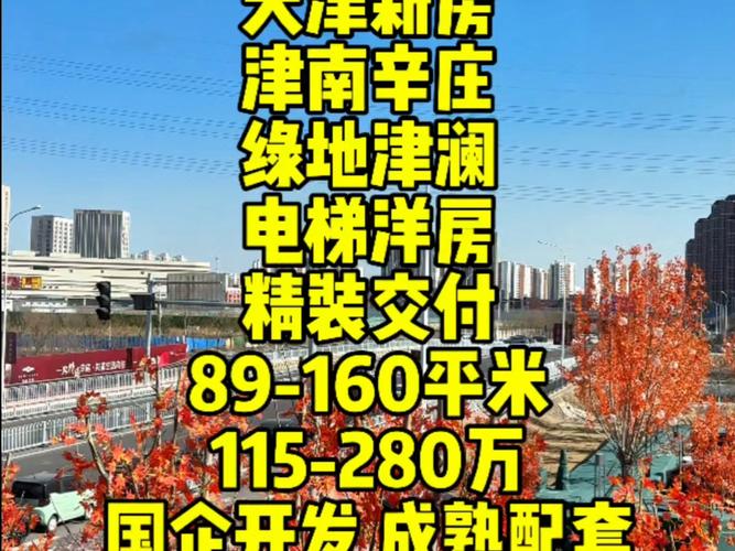 天津辛庄楼盘