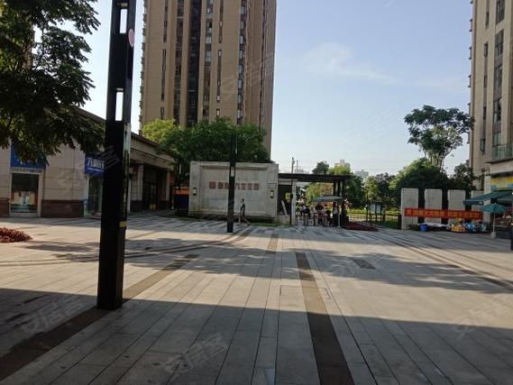 鲁能九龙花园是坟场