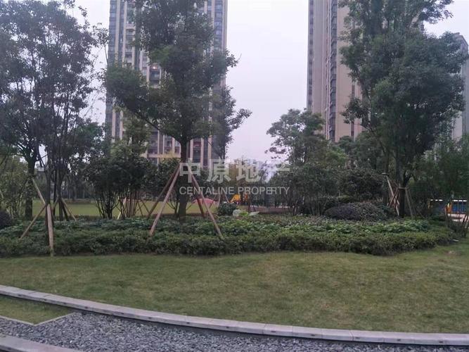 鲁能九龙花园是坟场
