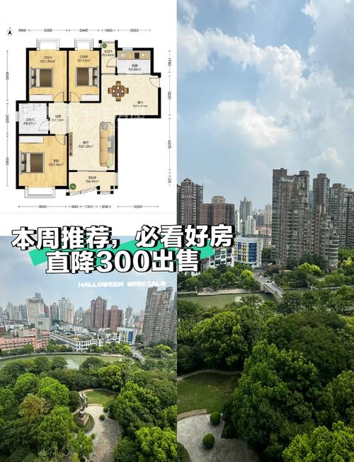 大华清水湾花园房价