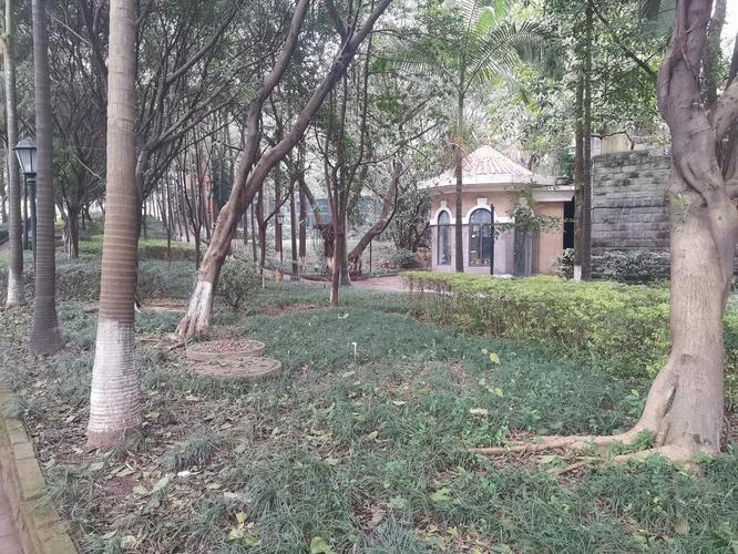 重庆新东福花园杀人案