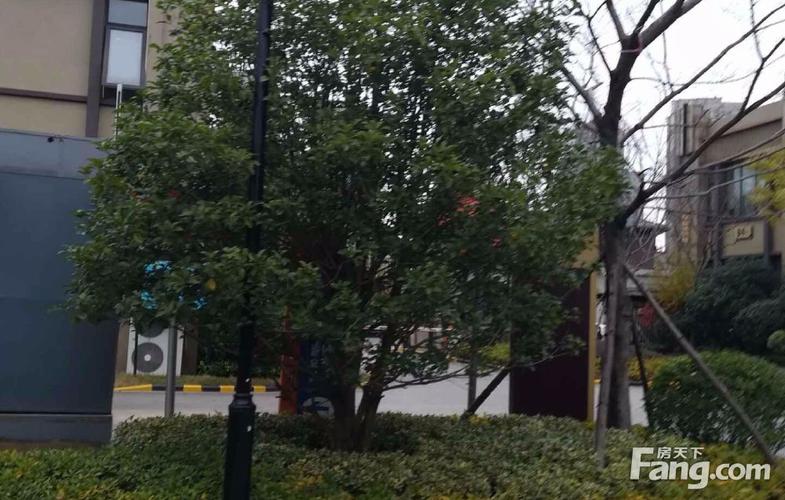常州长河花园怎么样