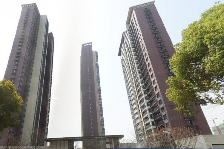 河源星河国际楼盘