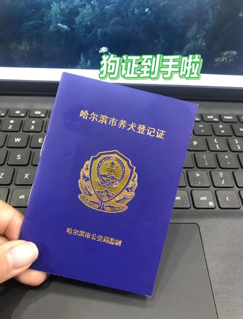 租房怎么办狗证