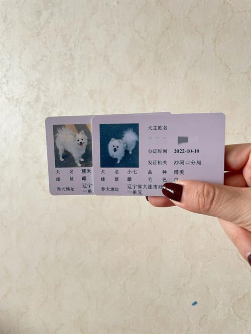 租房怎么办狗证