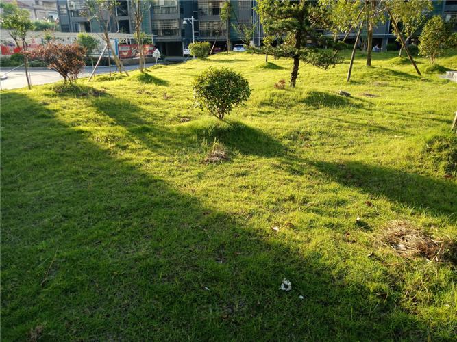 咸宁桂泉花园怎么样