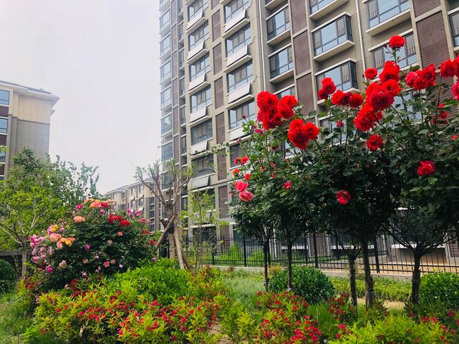 章丘市亿达世纪花园