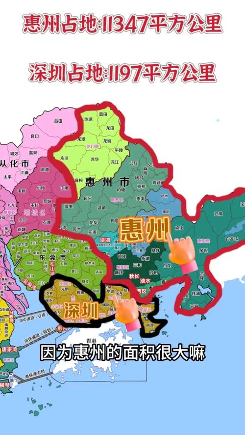 惠湾区房价