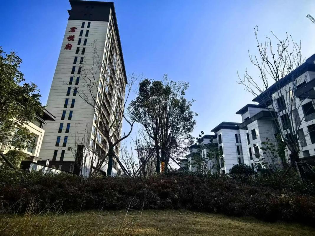 濮东新区楼盘