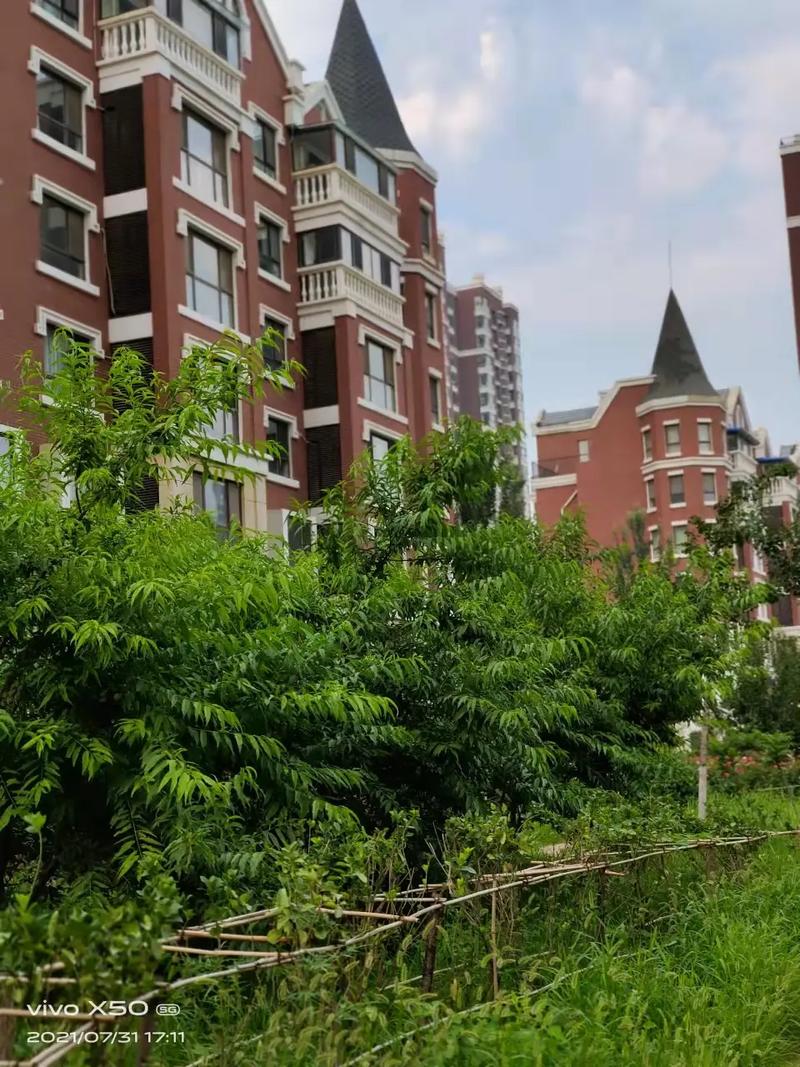 大同盛泽花园怎么样