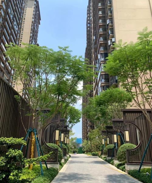 兴宁最新房价