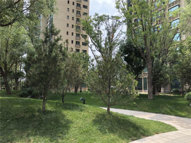 吴忠最新楼盘