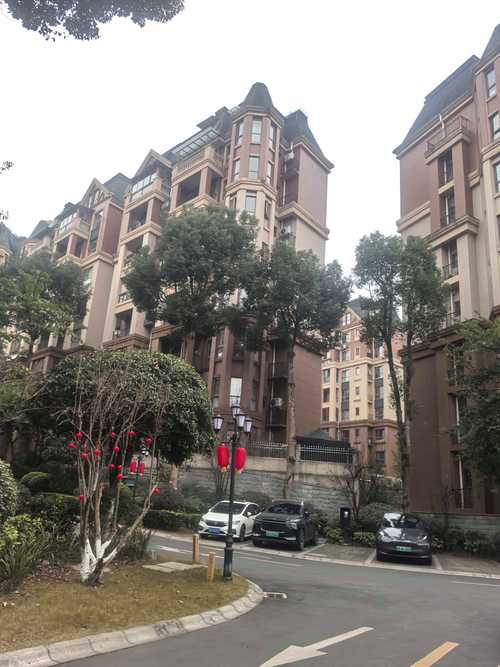 姜堰锦宸国际花园别墅