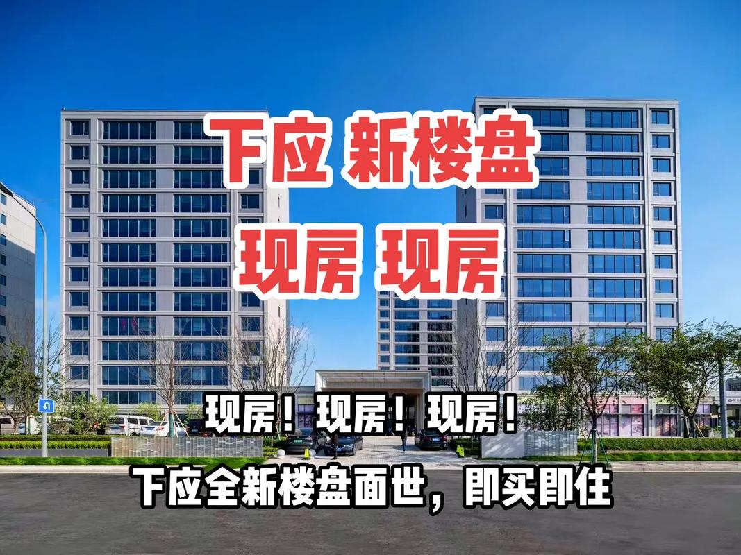 下应新楼盘