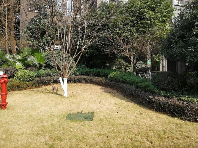 重庆龙头寺招商花园城