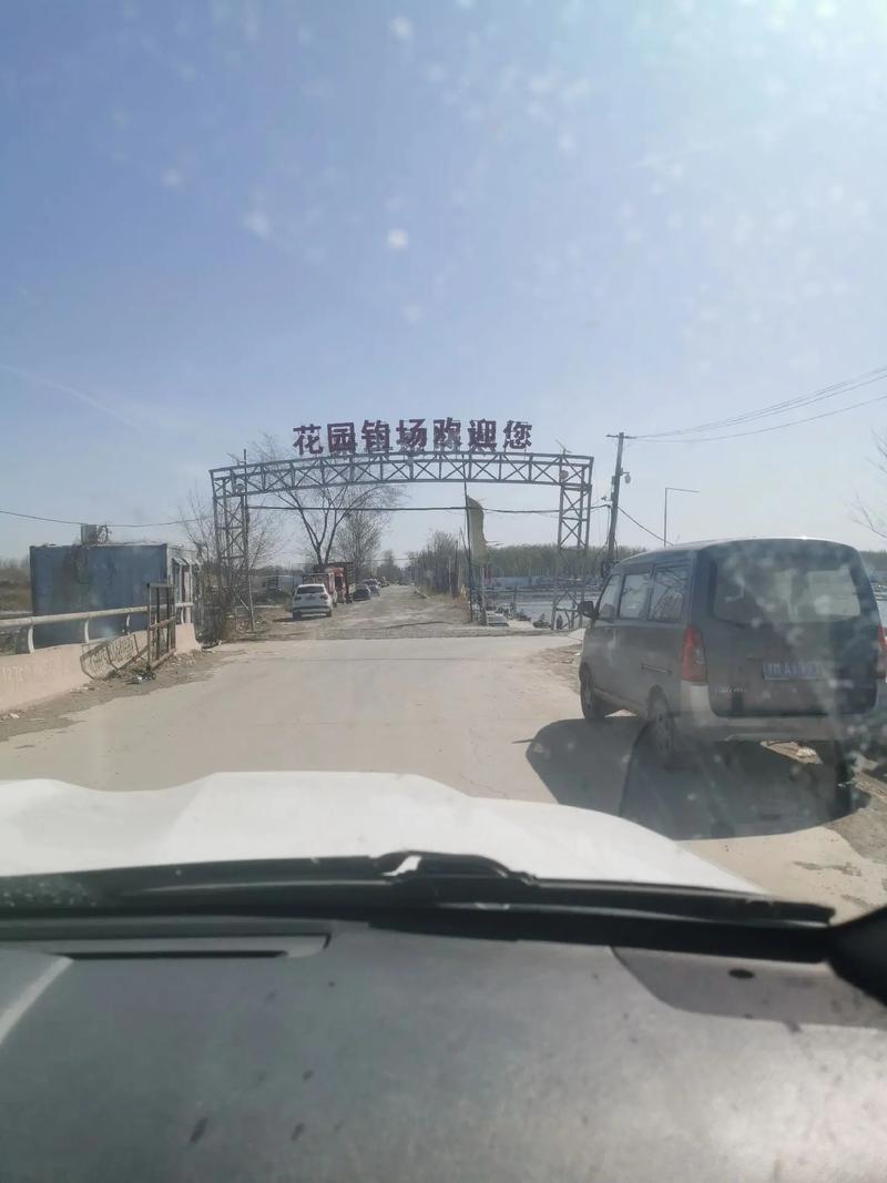 静海上城花园怎么样