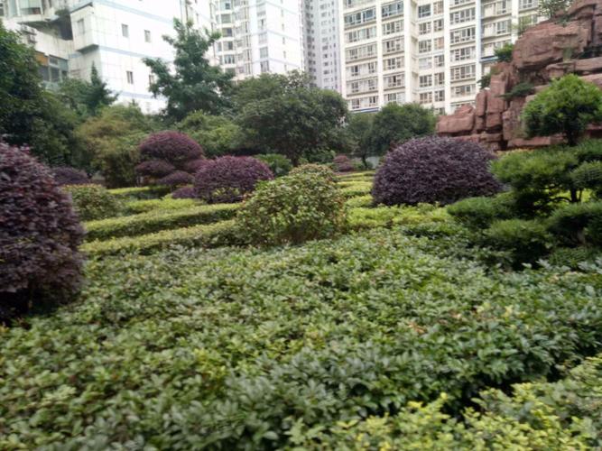 长沙新世纪楼盘