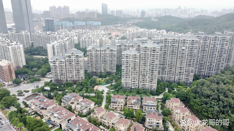 南海盐步楼盘