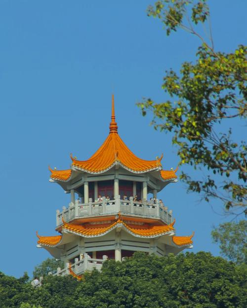 虎门公园房价