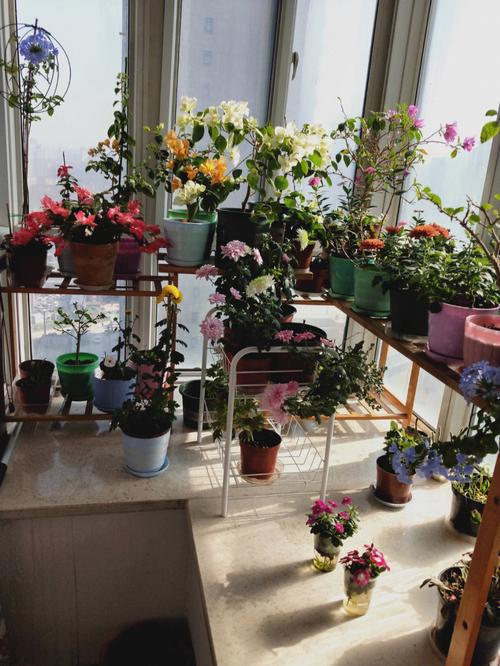 飘窗花园效果图大全