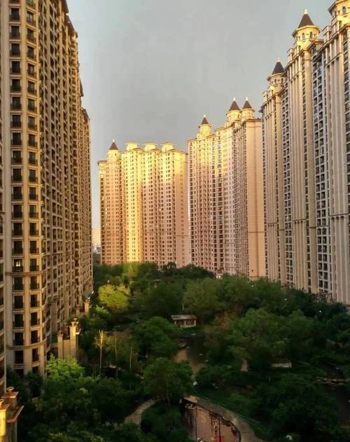 哈尔滨新开发楼盘