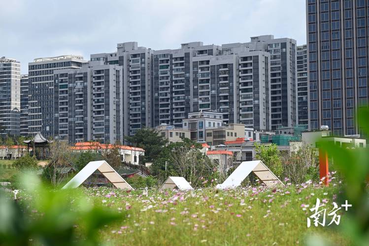 惠安山霞镇白鹭湾花园