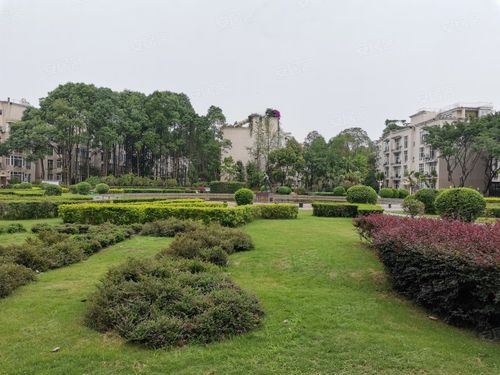 府河音乐花园要拆吗