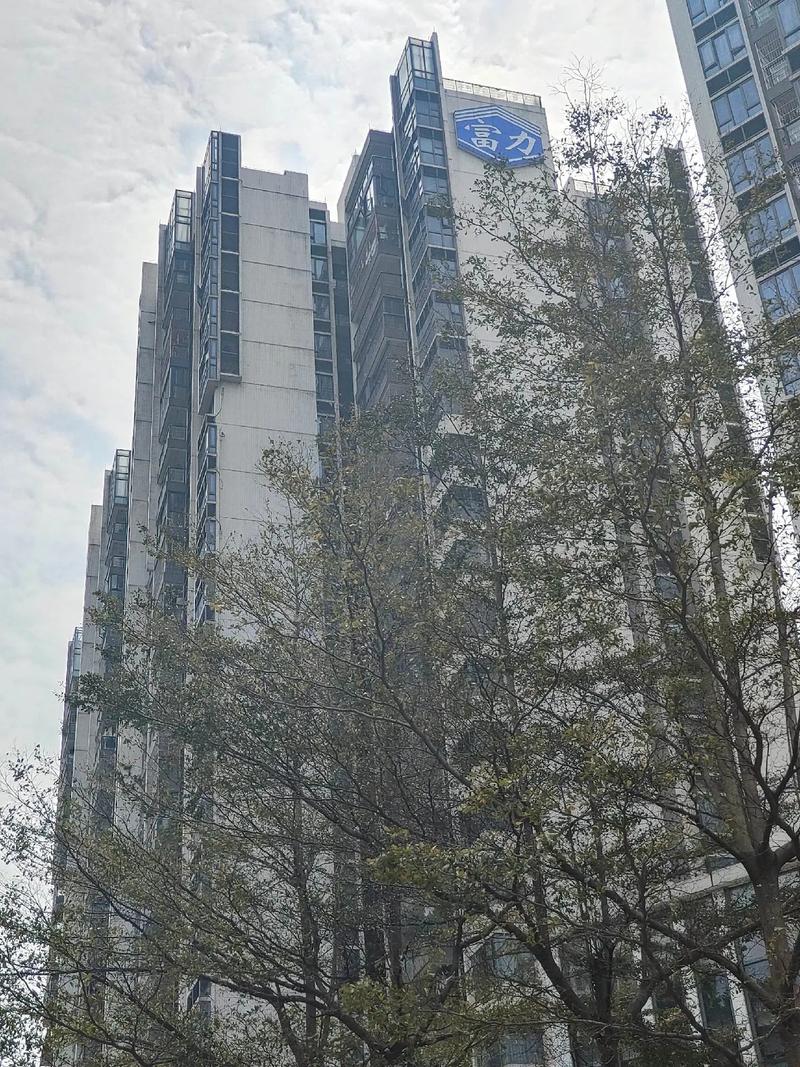 佛山富力楼盘
