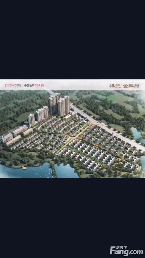 岳阳楼盘开盘