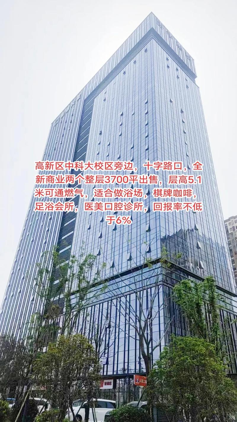 高新大道房价