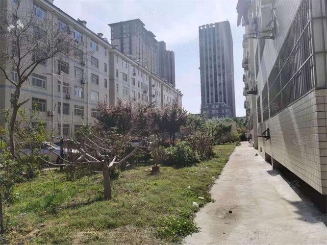 金马小区房价