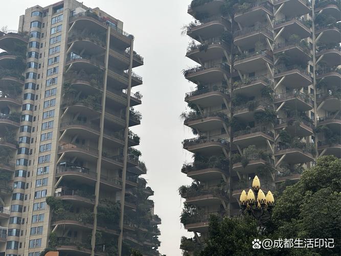 新都楼盘排名