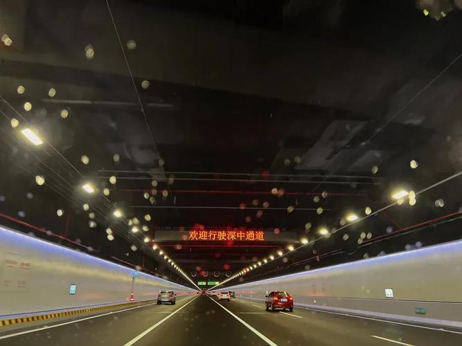 中山丽豪花园深中通道