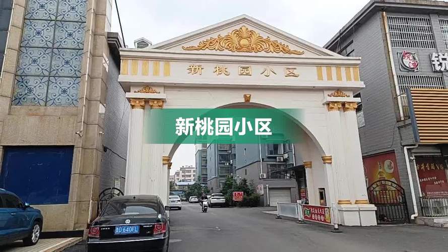 新桃园房价