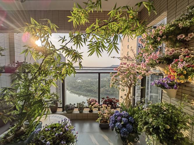 花园阳台装修图片欣赏