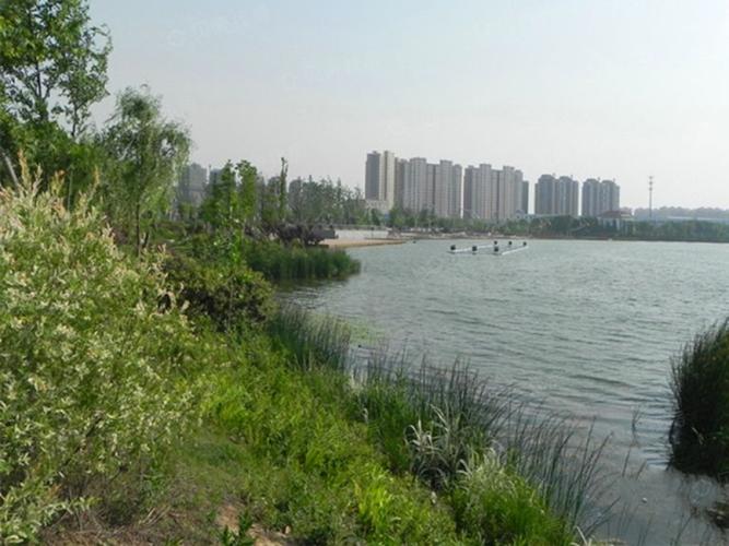 金牛湖楼盘