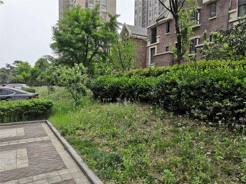 维科格兰花园怎么样