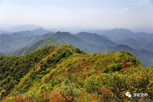 威坪房价