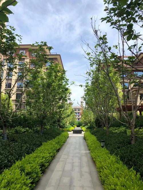 碧桂园花园洋房实景图