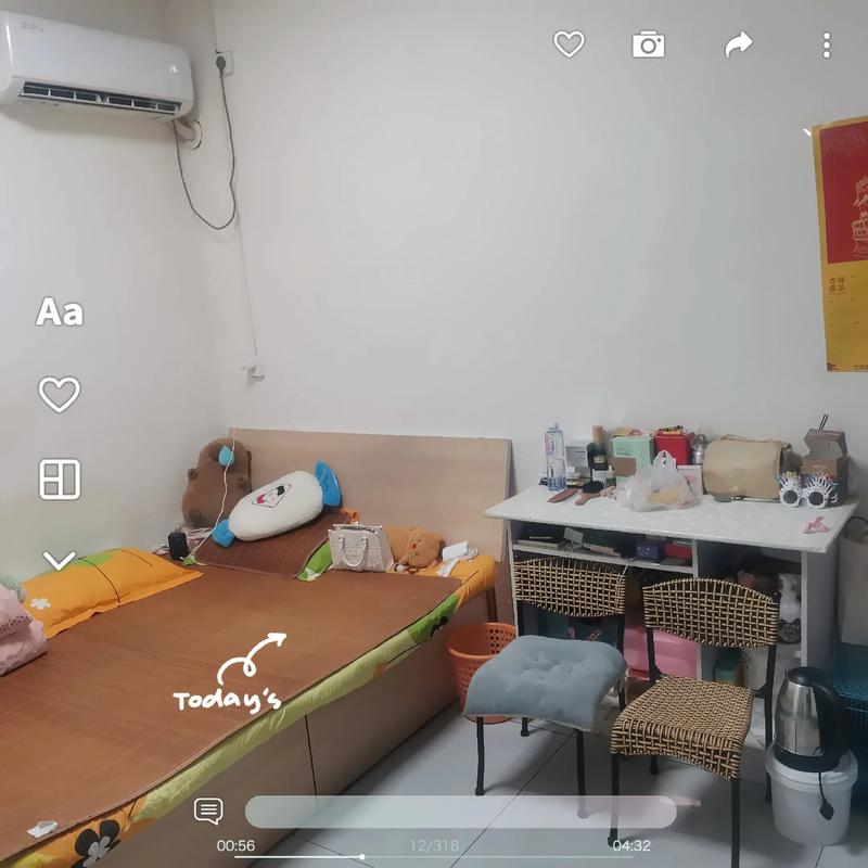 一个人租房孤单怎么办