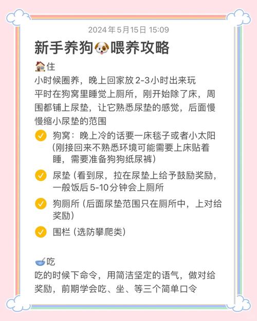 出租房一间房怎么养狗