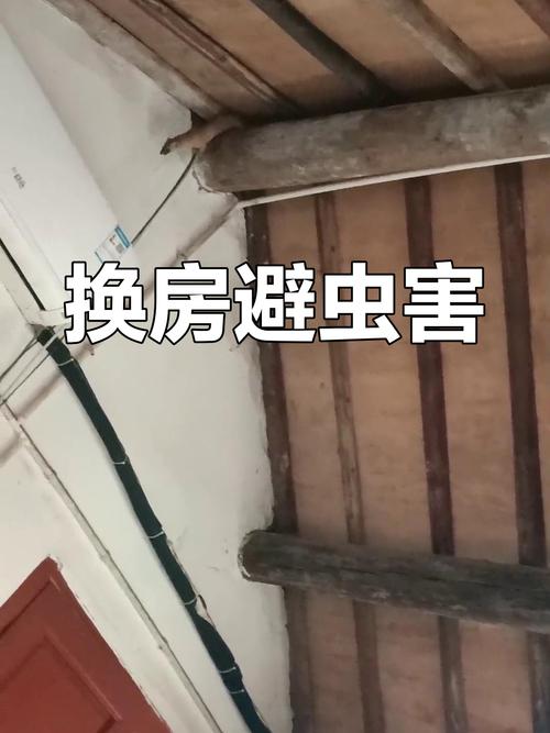 出租房里有蜈蚣怎么办