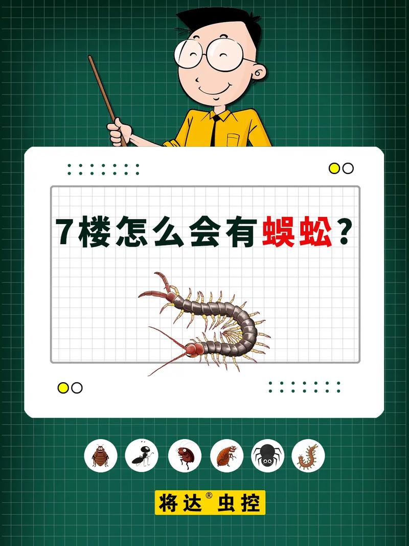出租房里有蜈蚣怎么办