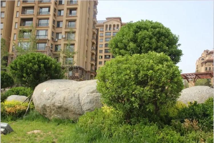 威海温泉万达花园