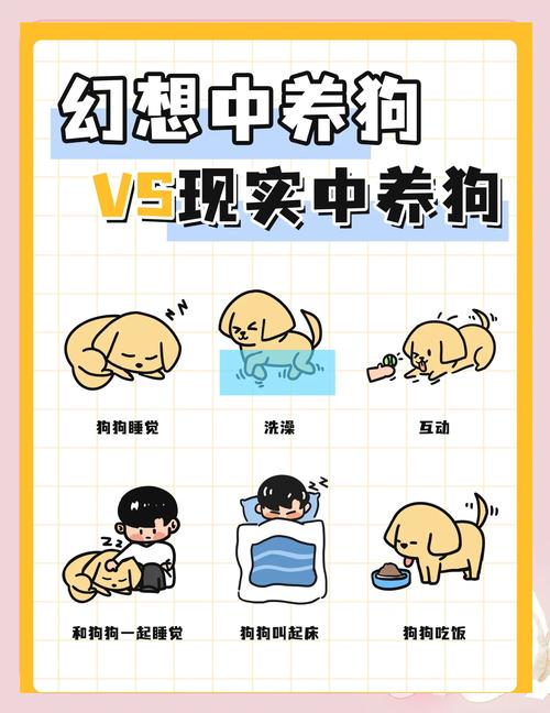 合租房想养狗怎么办